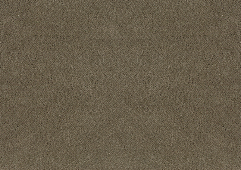 Desso Asteranne tapijt I 2941