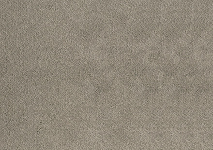 Desso Asteranne tapijt I 9536