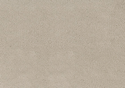 Desso Asteranne tapijt I 9538