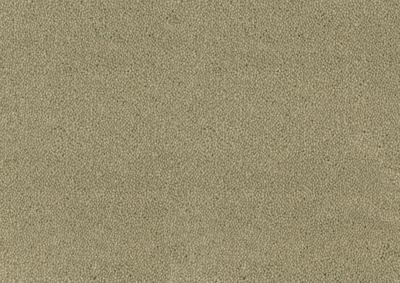 Desso Asteranne tapijt I 7945