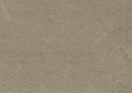Desso Asteranne tapijt I 9086