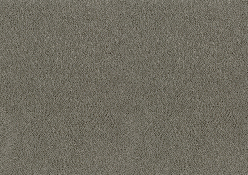 Desso Asteranne tapijt I 9504