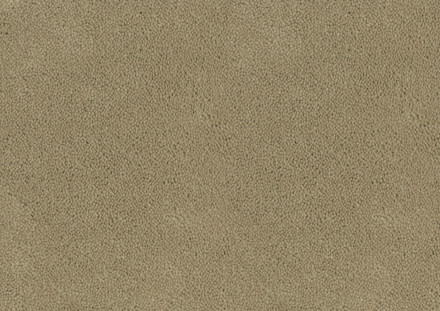 Desso Asteranne tapijt I 1320