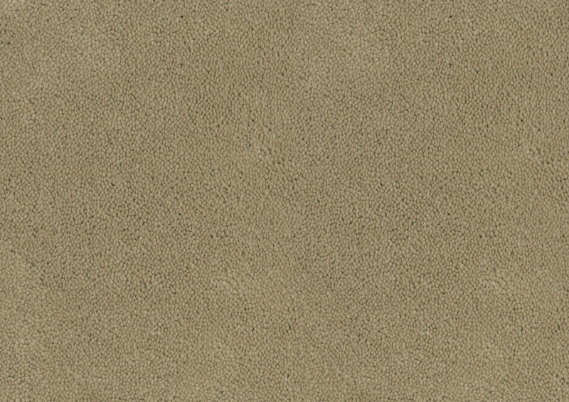 Desso Asteranne tapijt I 1320