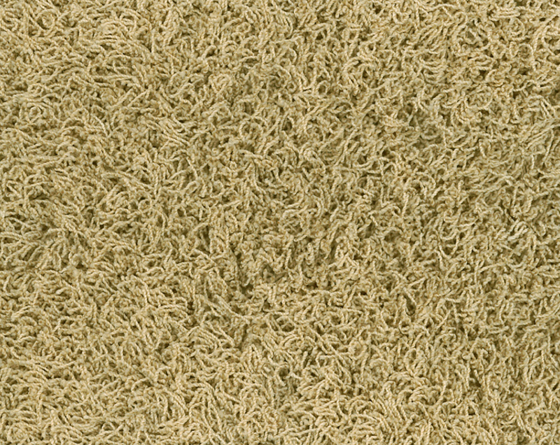 Bonaparte Chinchilla tapijt I kleur 173 Naturel