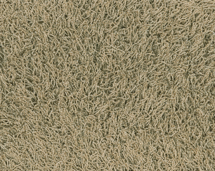 Bonaparte Chinchilla tapijt I kleur 175 Beige