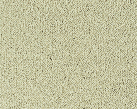 Parade Colour King tapijt I 190