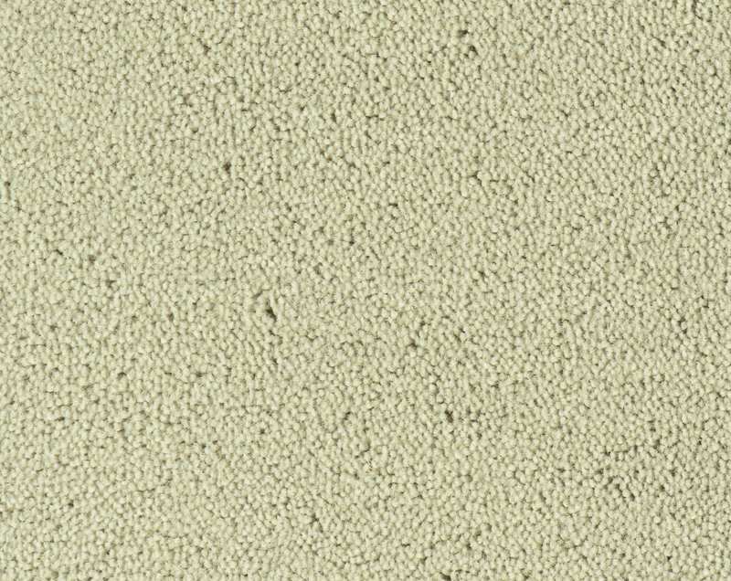 Parade Colour King tapijt I 190