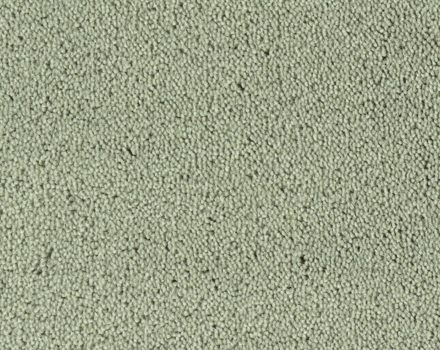 Parade Colour King tapijt I 191