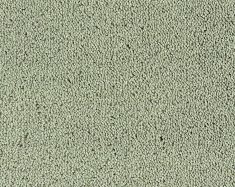 Parade Colour King tapijt I 191