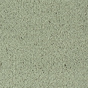 Parade Colour King tapijt I 191