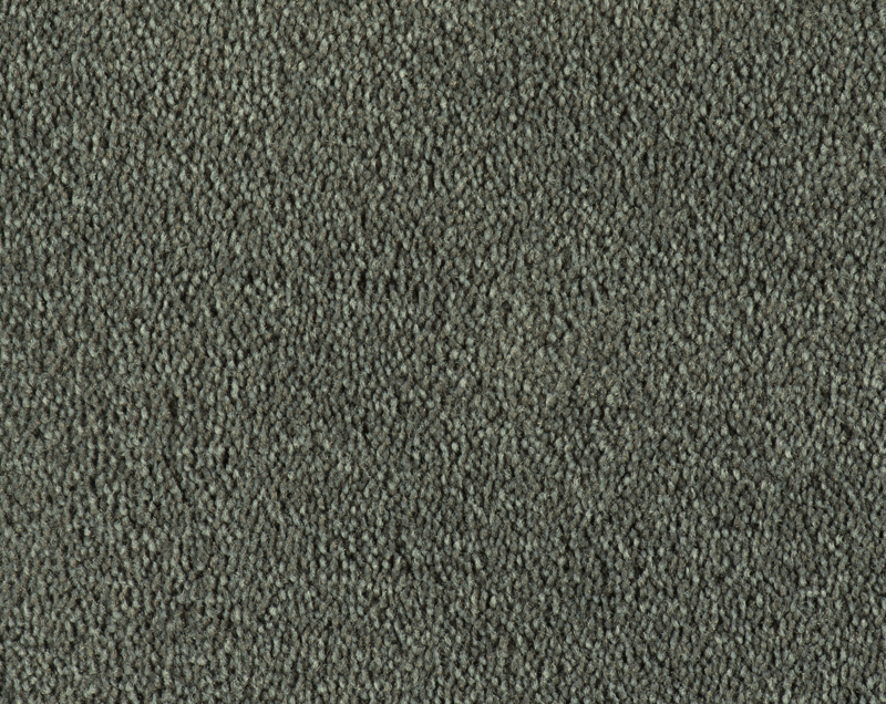 Parade Colour King tapijt I 198
