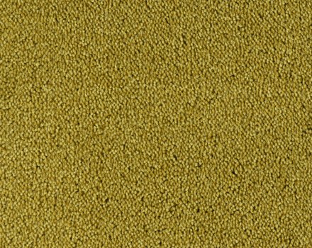 Parade Colour King tapijt I 182