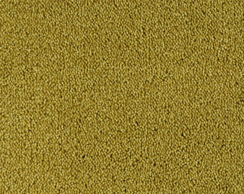 Parade Colour King tapijt I 182