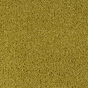 Parade Colour King tapijt I 182