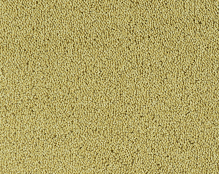 Parade Colour King tapijt I 121