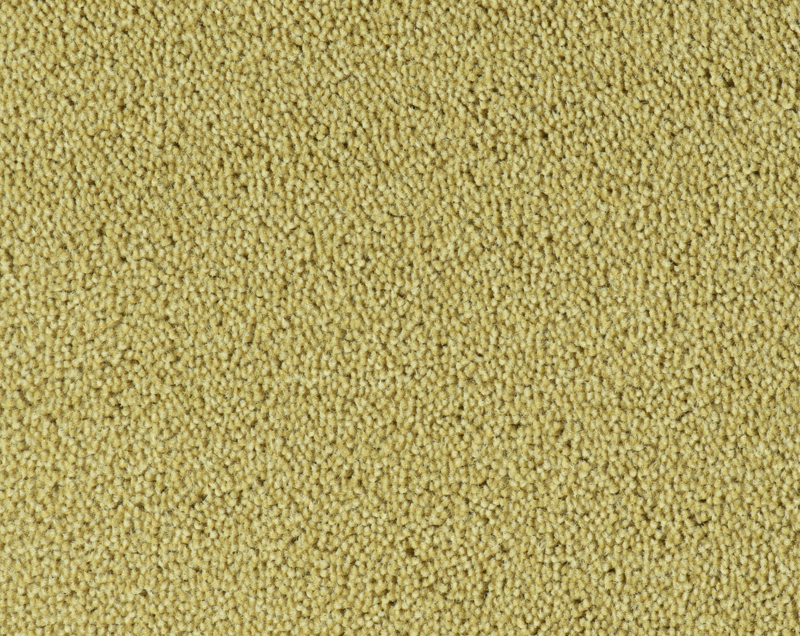 Parade Colour King tapijt I 121