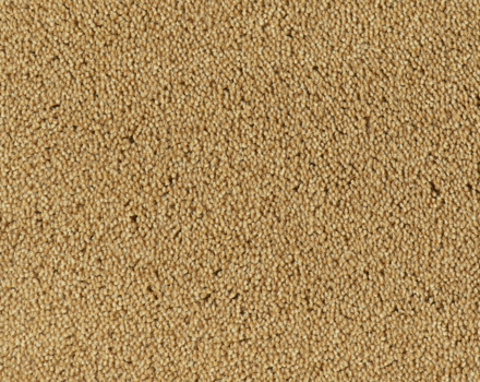 Parade Colour King tapijt I 167
