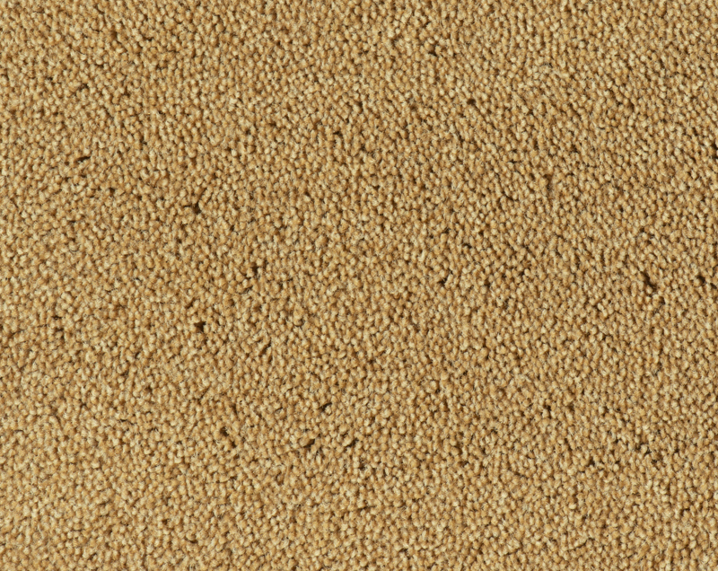 Parade Colour King tapijt I 167