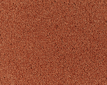 Parade Colour King tapijt I 117