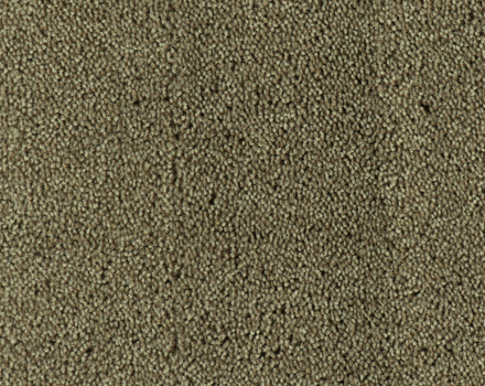 Parade Colour King tapijt I 148