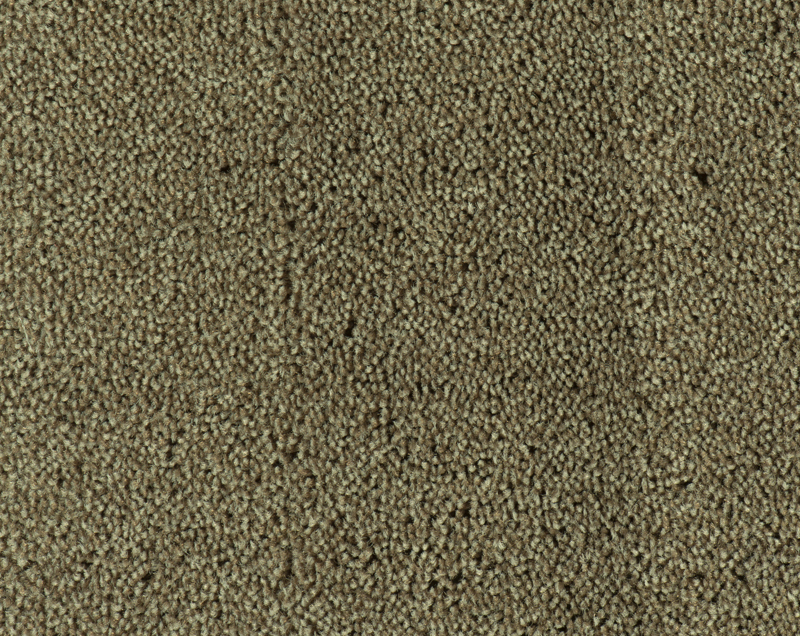 Parade Colour King tapijt I 148