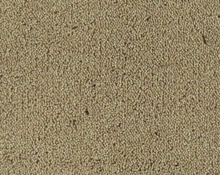 Parade Colour King tapijt I 142