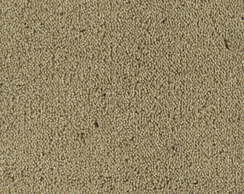 Parade Colour King tapijt I 142
