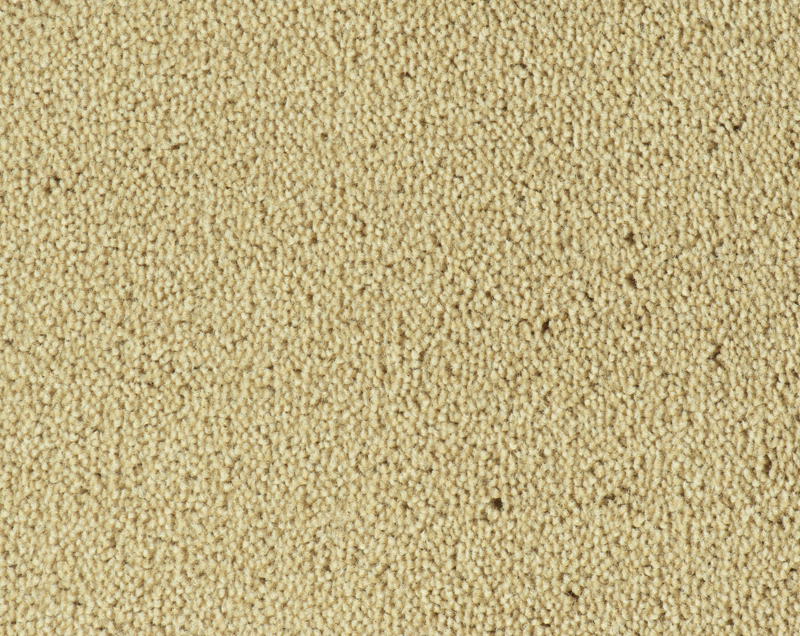 Parade Colour King tapijt I 171