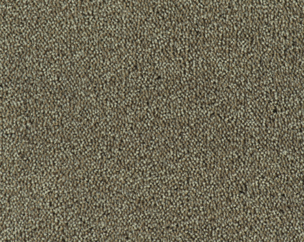 Parade Colour King tapijt I 149