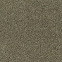 Parade Colour King tapijt I 149