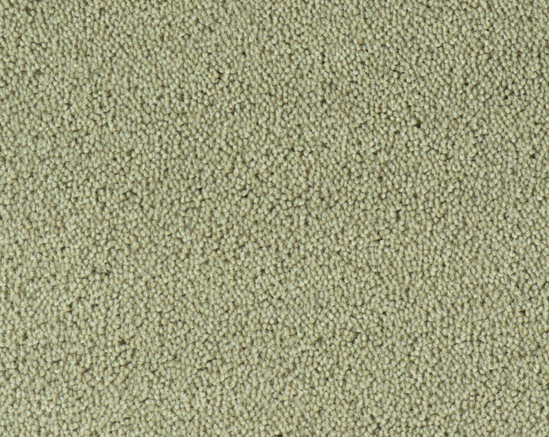 Parade Colour King tapijt I 129