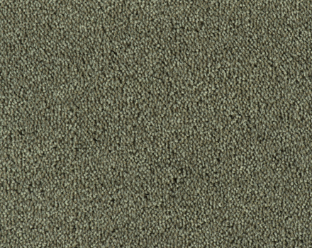 Parade Colour King tapijt I 195