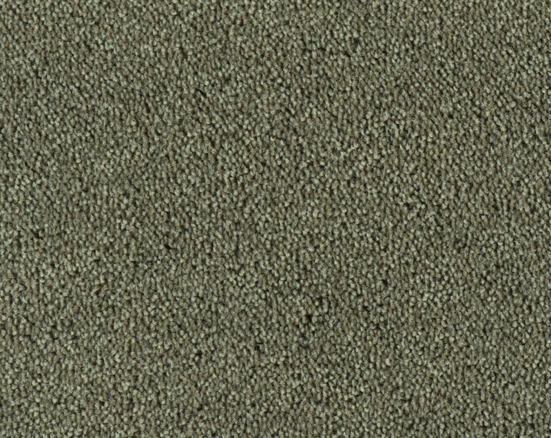 Parade Colour King tapijt I 195