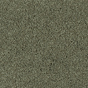 Parade Colour King tapijt I 195