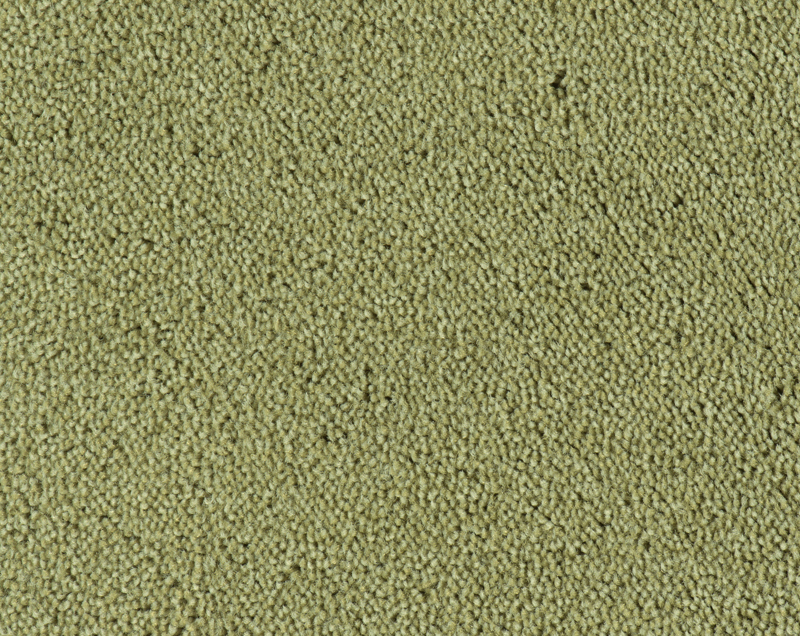 Parade Colour King tapijt I 124