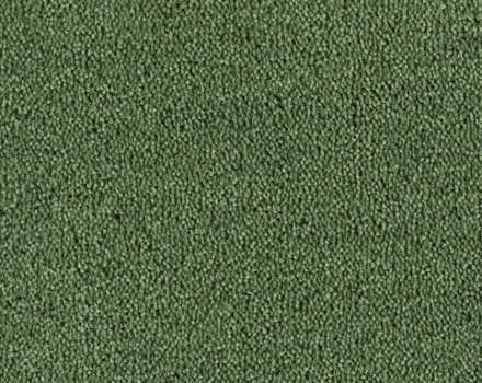 Parade Colour King tapijt I 122