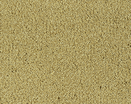 Parade Colour King tapijt I 176