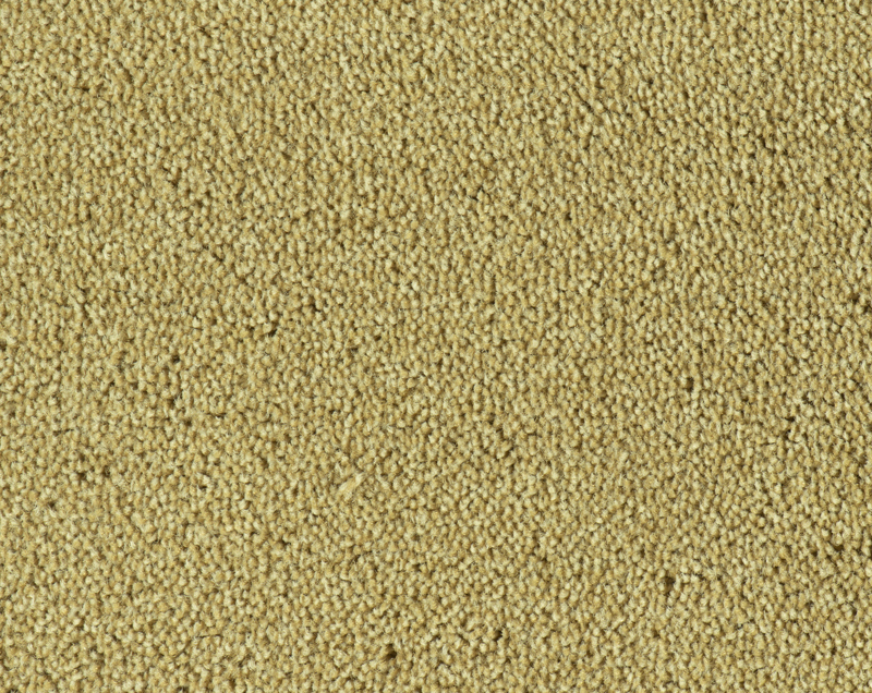 Parade Colour King tapijt I 176
