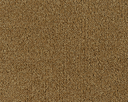 Parade Colour King tapijt I 141