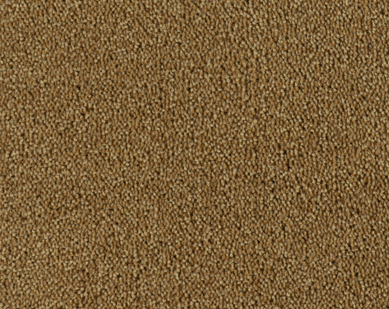 Parade Colour King tapijt I 141