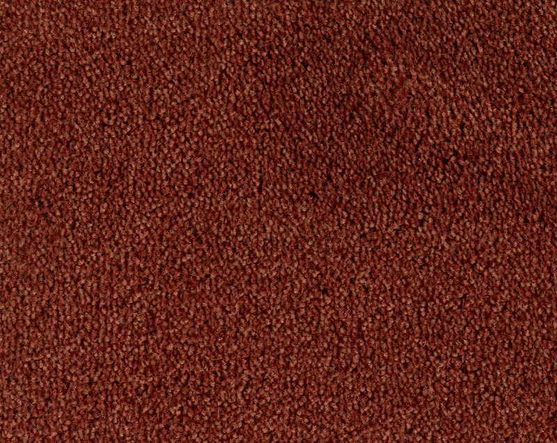 Parade Colour King tapijt I 111