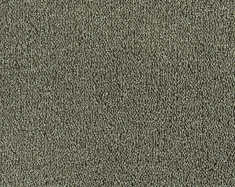 Parade Colour King tapijt I 199