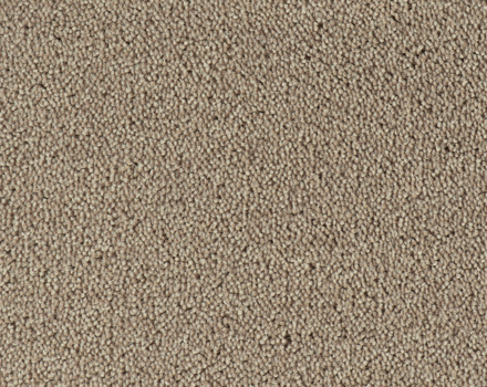Parade Colour King tapijt I 138