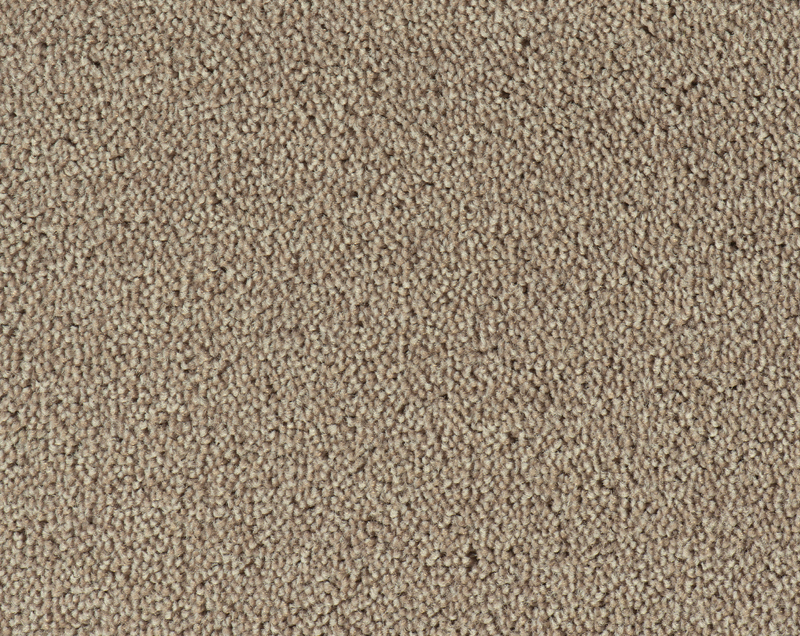 Parade Colour King tapijt I 138