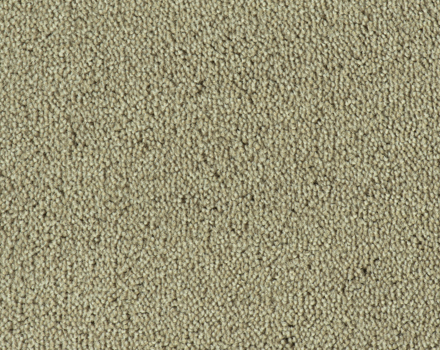 Parade Colour King tapijt I 192