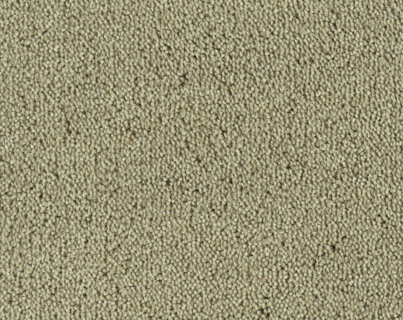 Parade Colour King tapijt I 192