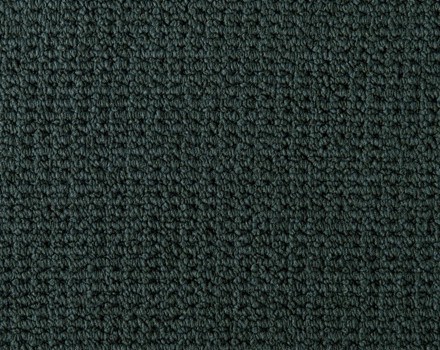 Desso Conga tapijt I 8932