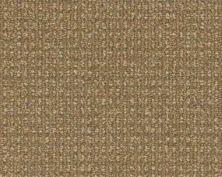 Bonaparte Esprit Tapijt I kleur 146