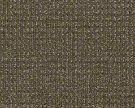 Bonaparte Esprit Tapijt I kleur 198
